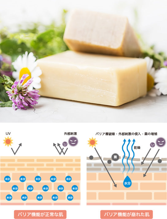 SAIRAI Veganish Cosmetics